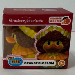 Orange Blossom Tubbz Mini Boxed Edition Animation Strawberry Shortcake MIB