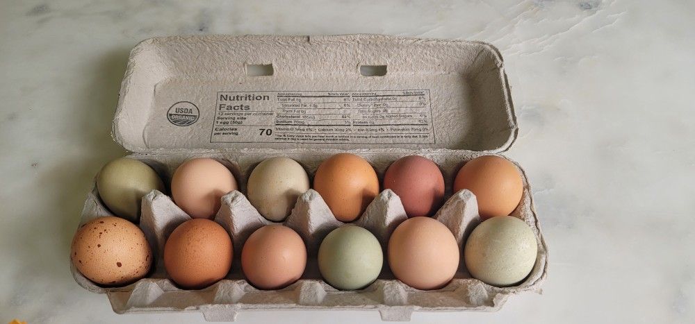 Organic Chicken Eggs