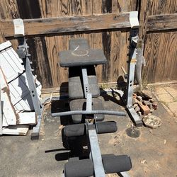 Old gym equipment (weight bench w/ weights)