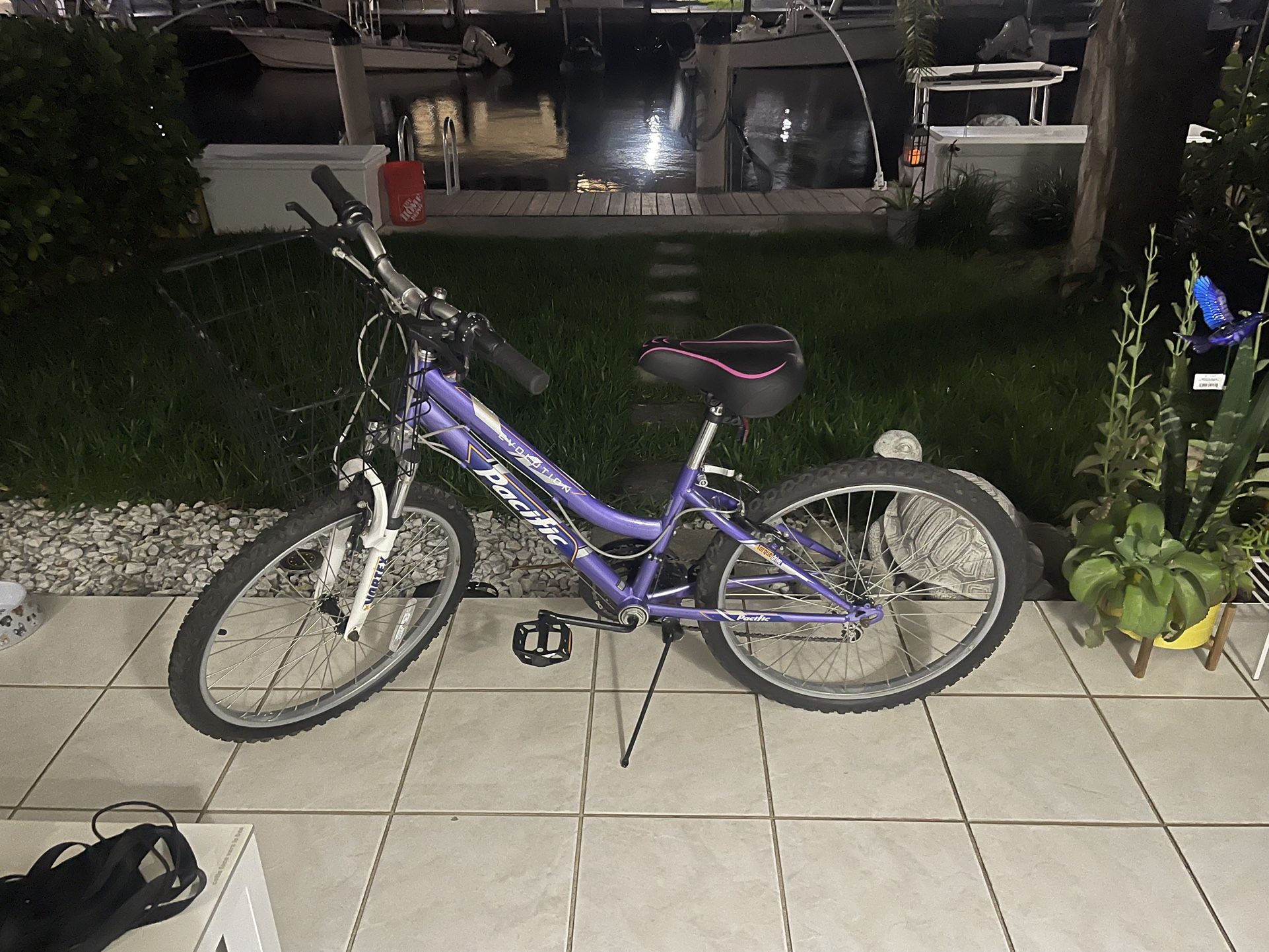 Girls Bicycle With Basket