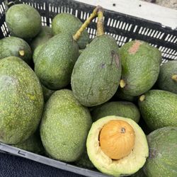 Aguacates Grande $2