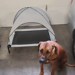 Elevated Dog Bed Cot With Removable Canopy Cover