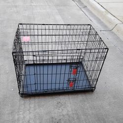 Dog Cage 