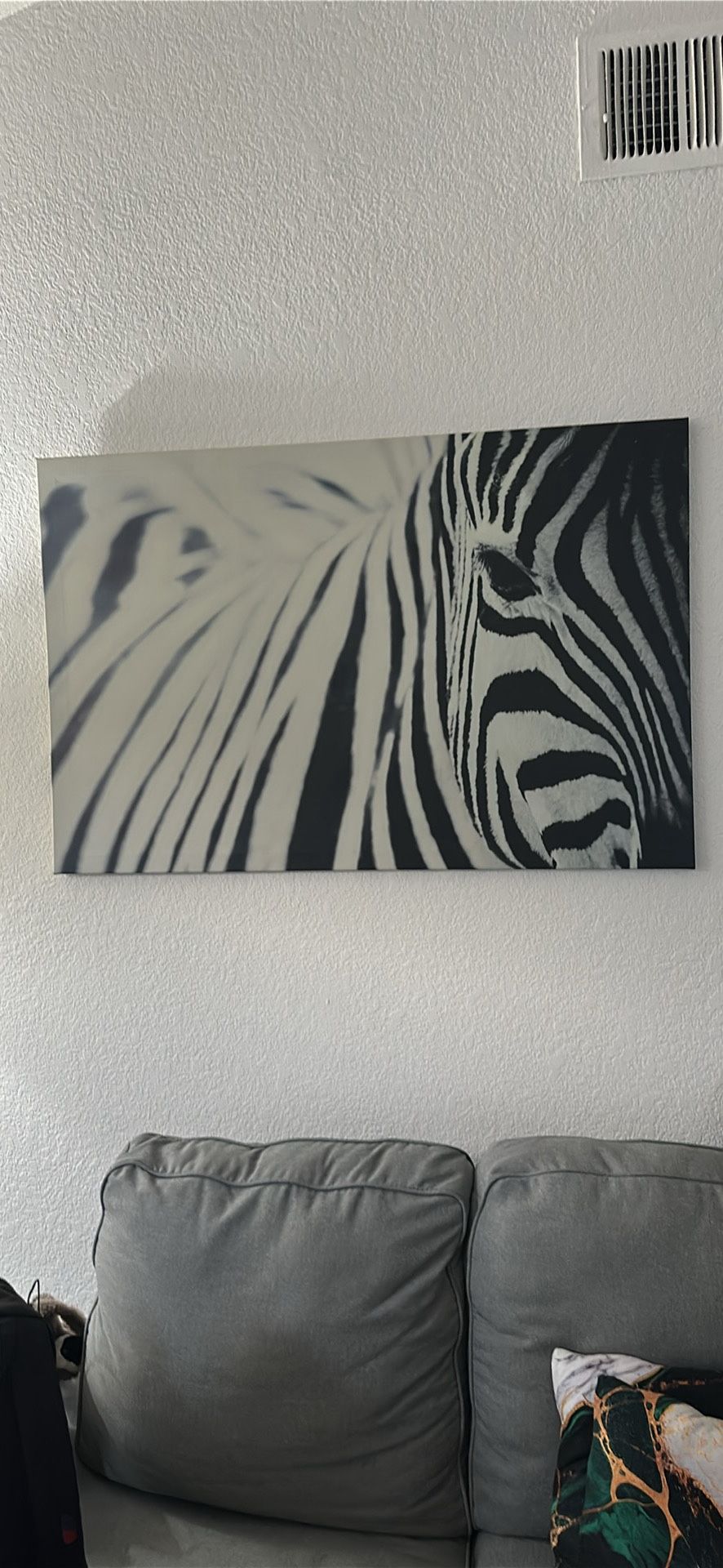 Zebra Canvas