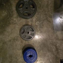 Weight Bar and Weights. Work Out Equipment 