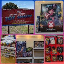 Salinas Valley Toy Show! June 29th & 30th