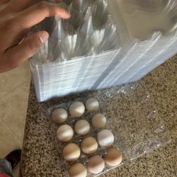 Fresh Farm Eggs 