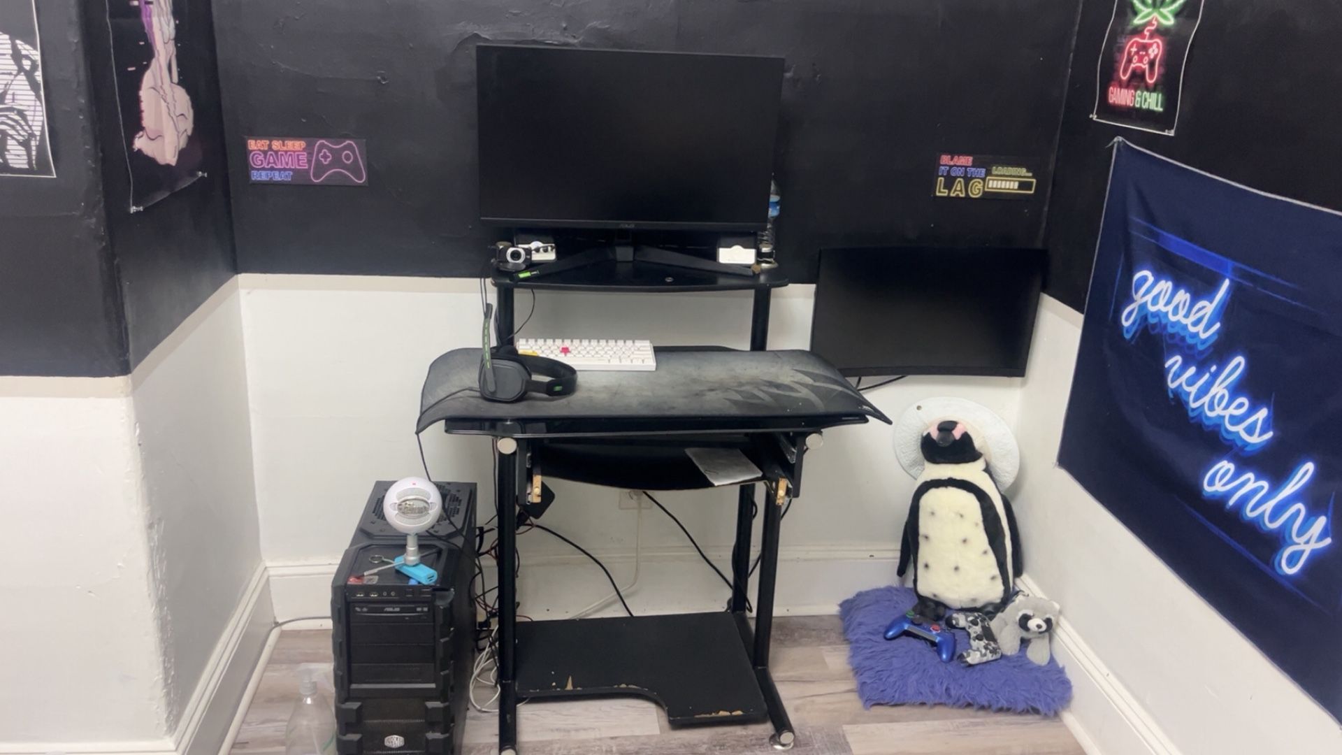 Gaming Setup