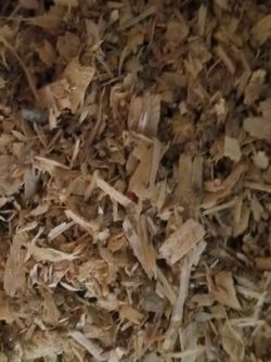 Organic Chicken Manure Fertilizer!
