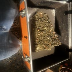 Museum Quality Cabinet 