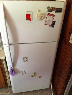 Fairly new refrigerator MUST GO !