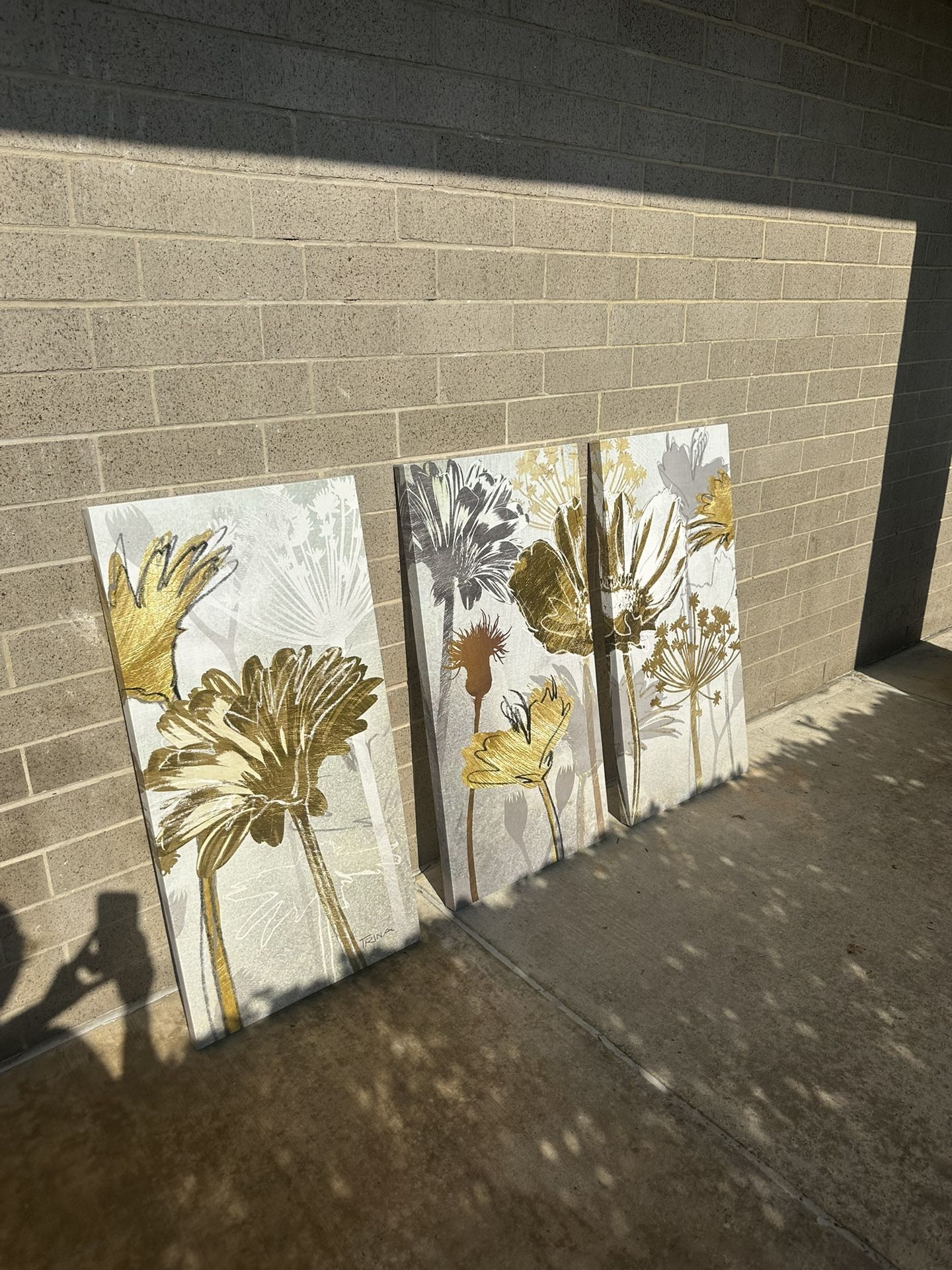 3 Piece flower Canvas Wall Decor