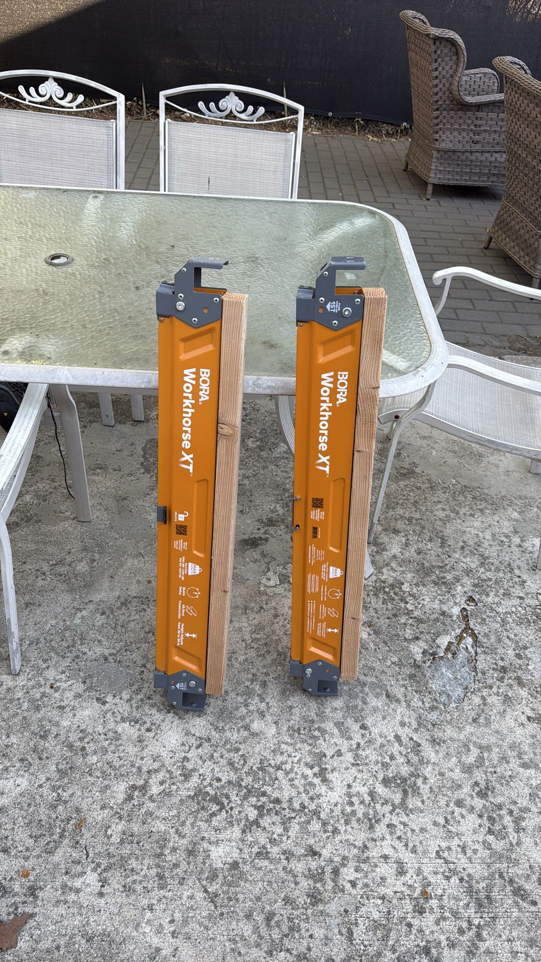 Pair of bora work horses