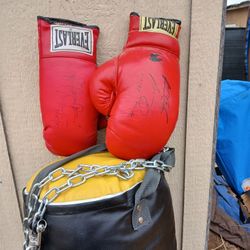 BOXING BAG AND GLOVED