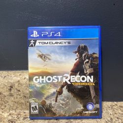 Tom Clancy's Ghost Recon: Wildlands (Sony PlayStation 4, 2017) PS4
