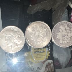 5 Of $1.00 Morgan Dollar Coin