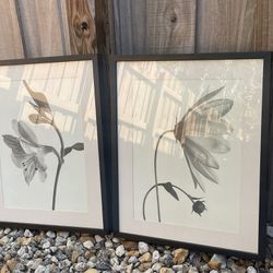 2 Framed Pictures Behind The Glass, Flowers, Black & White, 21” H x 17” W. 