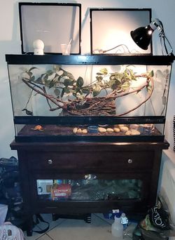 GLASS TANK WITH ACCESSORIES & LIGHT