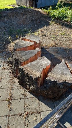Free firewood