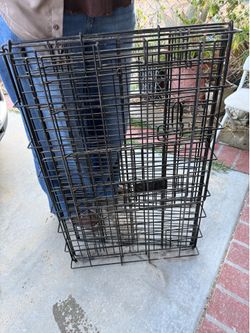 Dog Crates