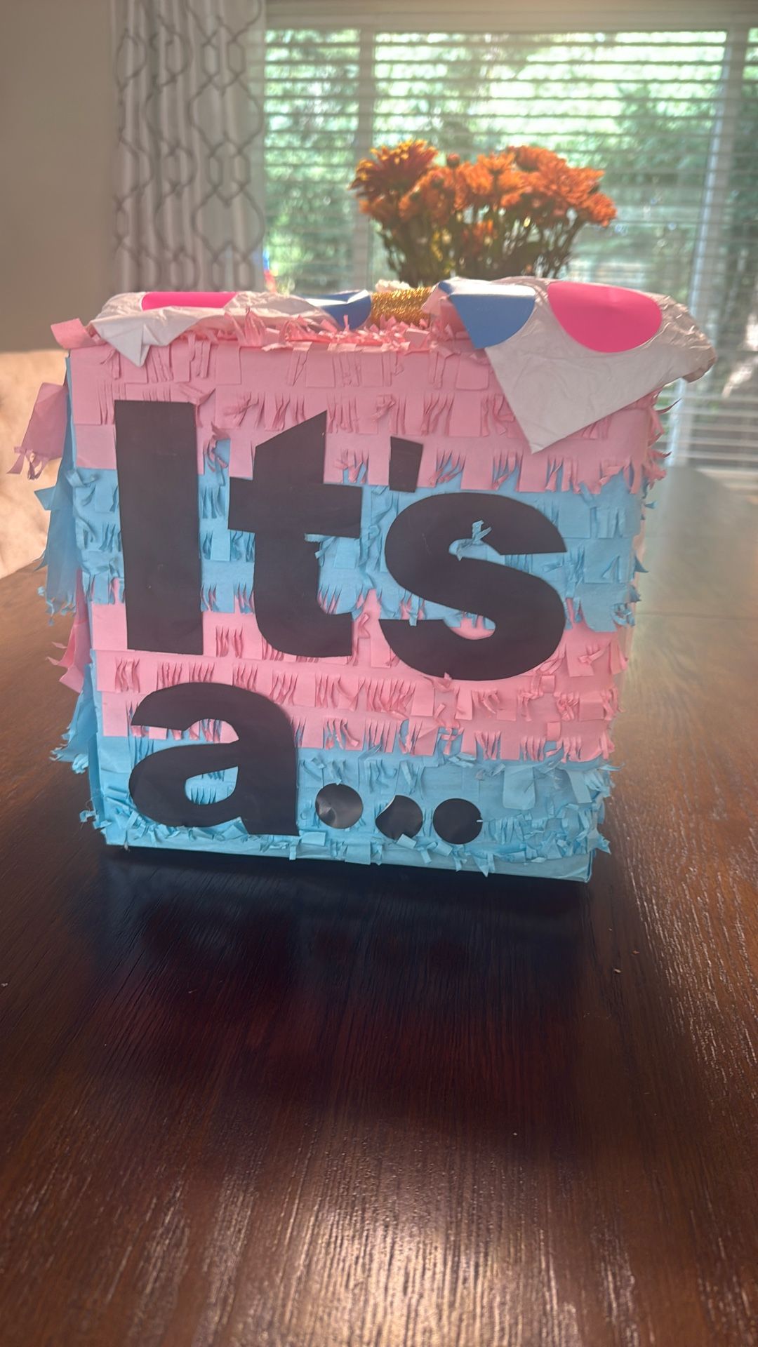 Baby Gender Reveal Pack