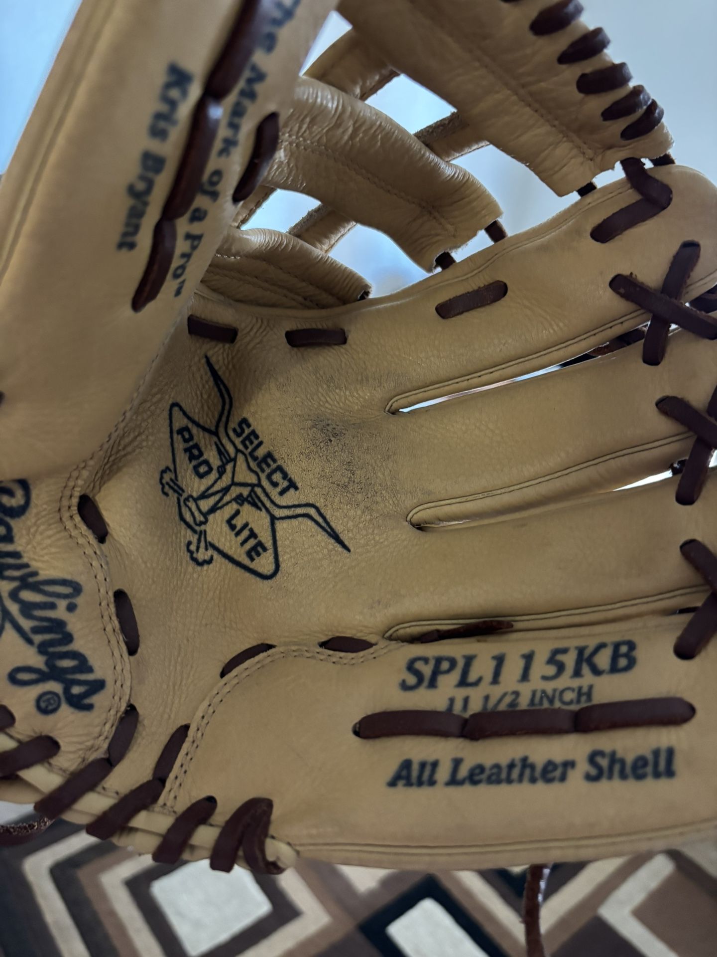 Youth Baseball Glove