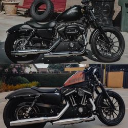 2012 Harley Davidson Sportster Iron 883