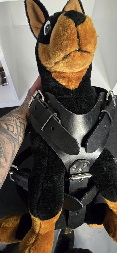 Dog Harness