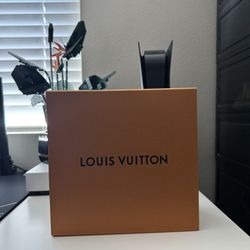 Louis Vuitton Gaston Bag