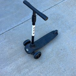 Bird Scooter  
