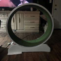 Cat Treadmill (Cozywow)