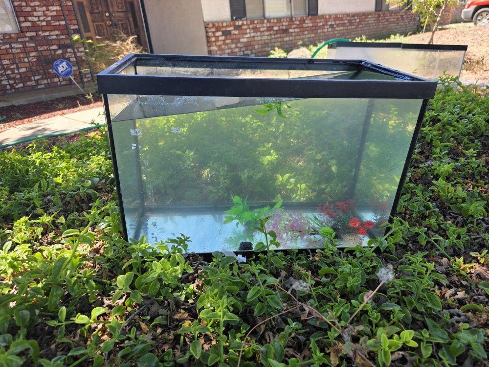Aquarium 20 Gallon