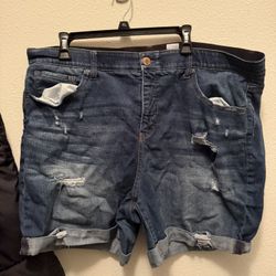 Torrid Shorts 