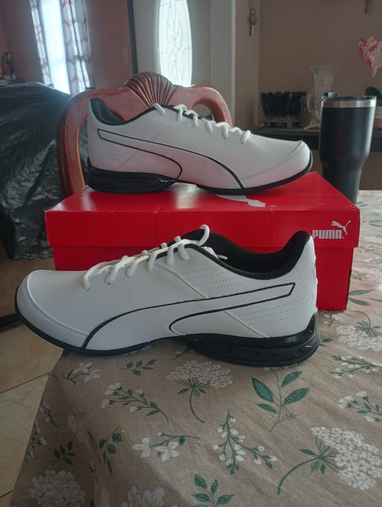 Puma