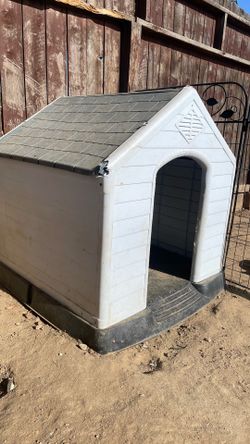 Dog House.
