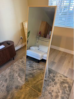 Lightly Used Body Mirror