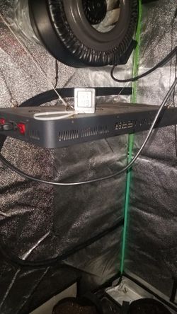 Bestva Grow Lights 