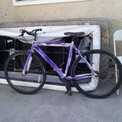 It's A Vitesse Racing Inc 