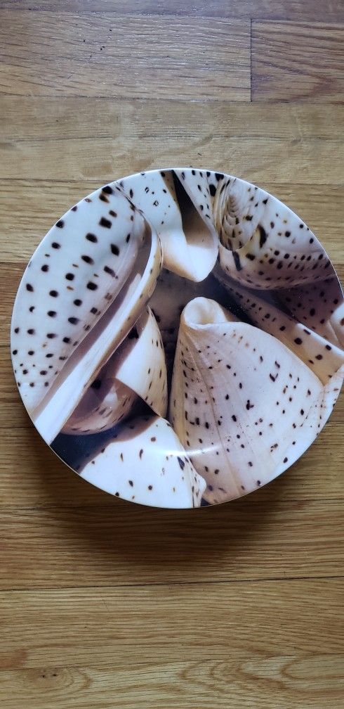 Coastal Pier 1 Seashell Porcelain Dinner Plates 