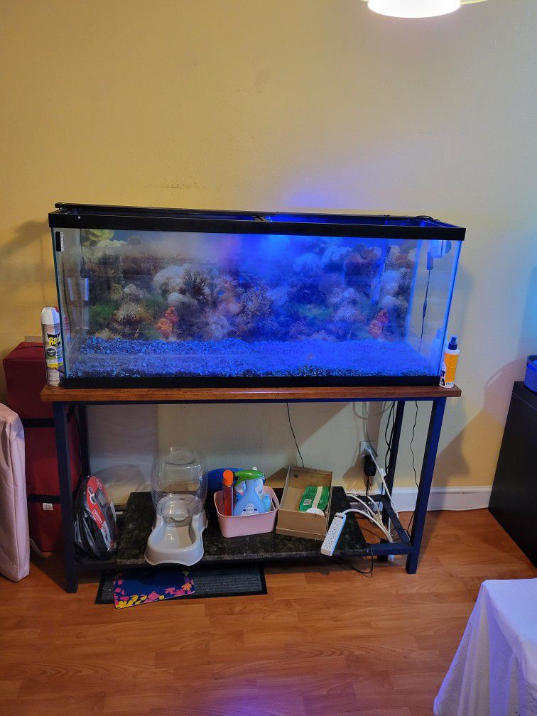 55gallon Fish Tank 