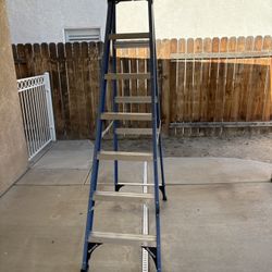 Fiberglass Ladder