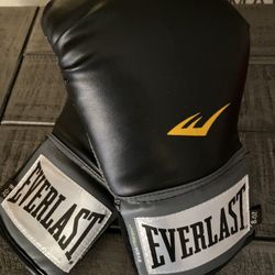 Everlast Boxing Gloves 8oz