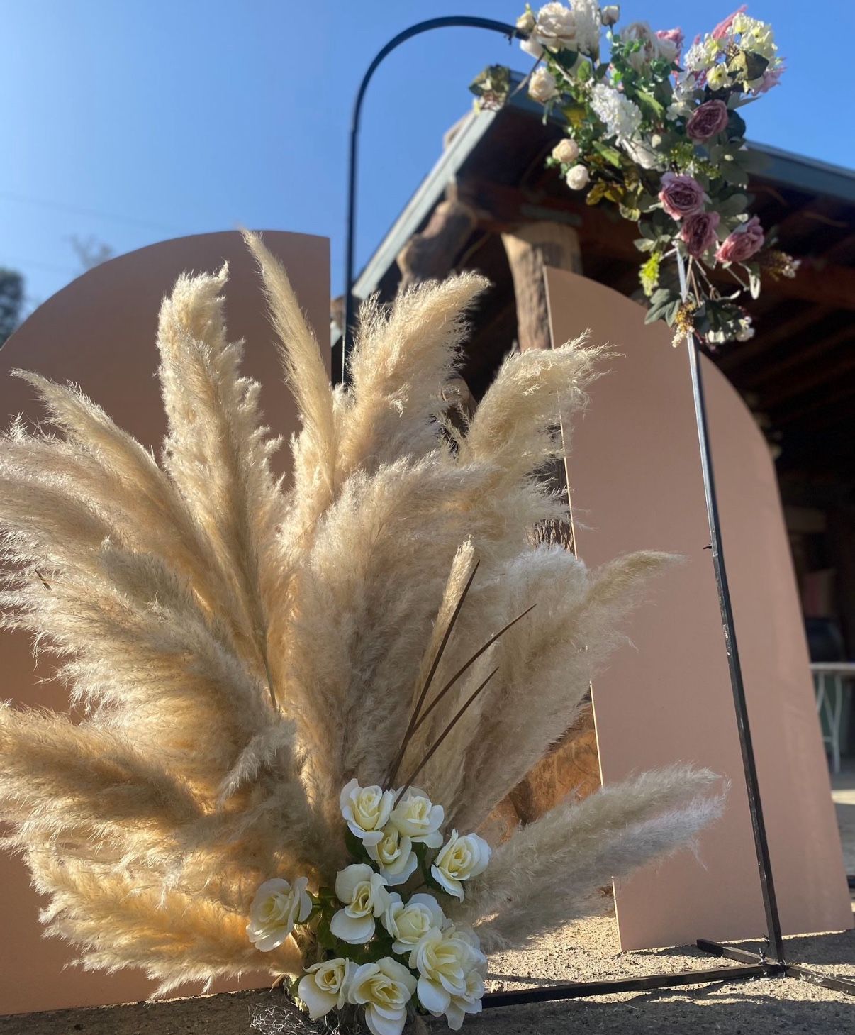 Pampas Grass