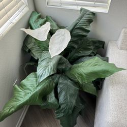 Large House Plant Decoration (Fake)