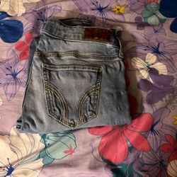 Hollister jean