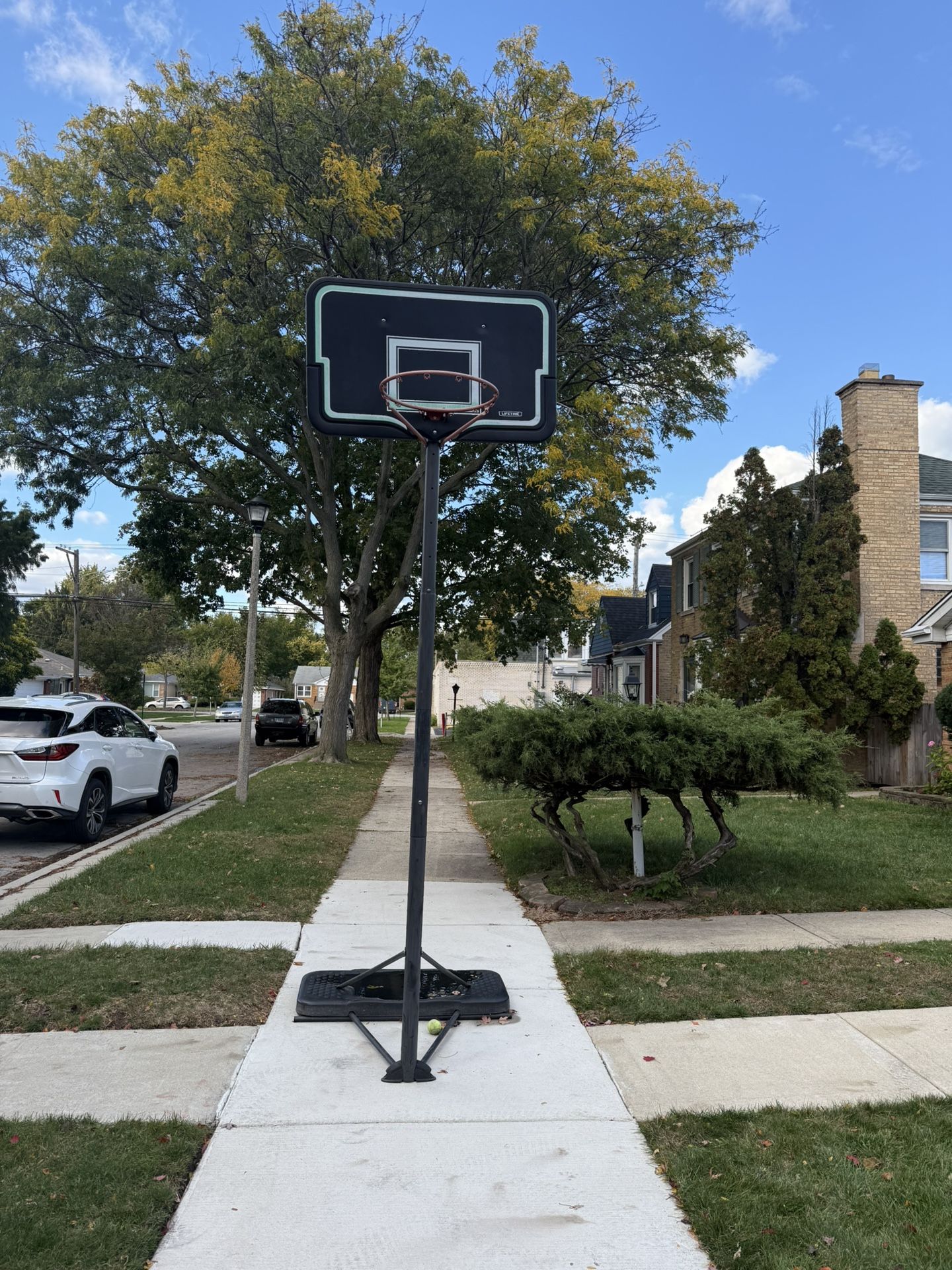 Lifetime Basketball Hoop