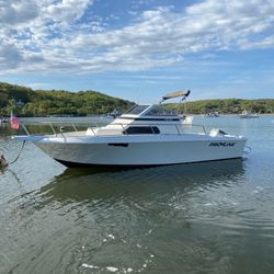 1991 Proline Walk around 