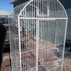 Large bird Cage - Trades Welcome 