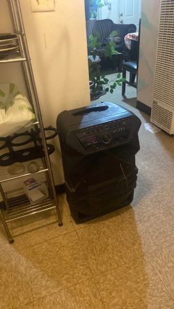 Large Portable PA Speaker System