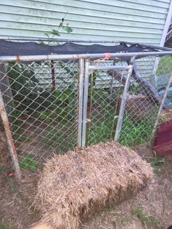 Dog pen